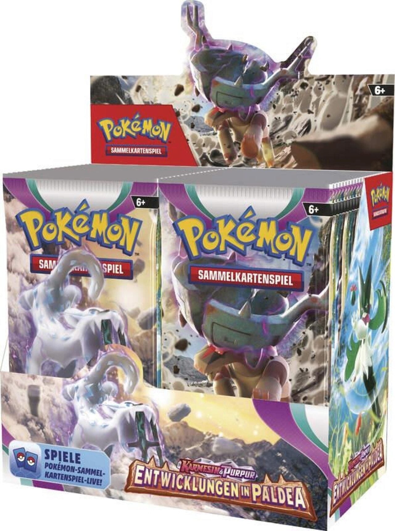 Pokemon Entwicklungen in Paldea Display -Sealed (DE)